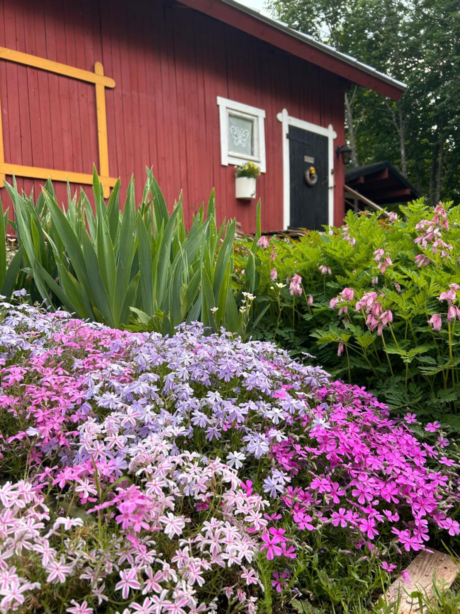 Savikulma B&B Mynamaki Eksteriør bilde